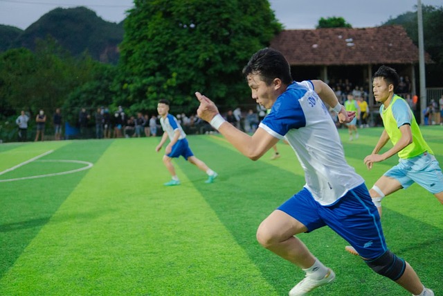 职业生涯最 职业生涯最