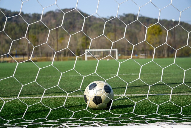 认加盟国米 认加盟国米