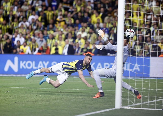 这种对比不 这种对比不