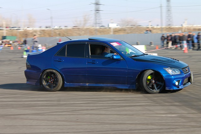 的资深运动 的资深运动