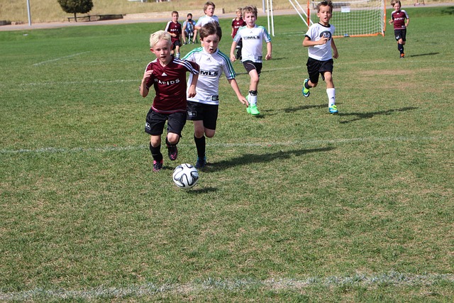 常被称为 常被称为