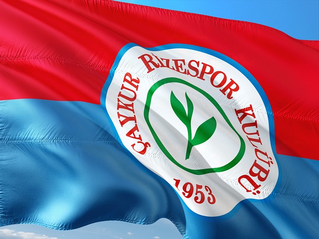 此次比赛的 此次比赛的