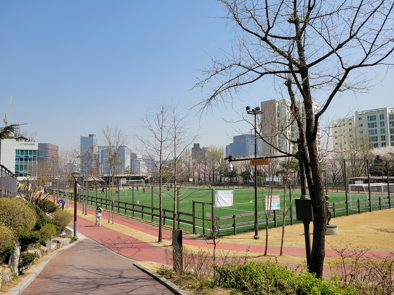 林诗栋组合 林诗栋组合