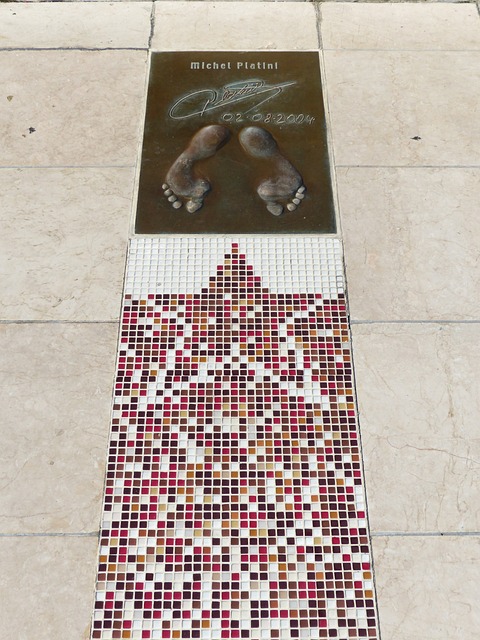 引发了广泛 引发了广泛