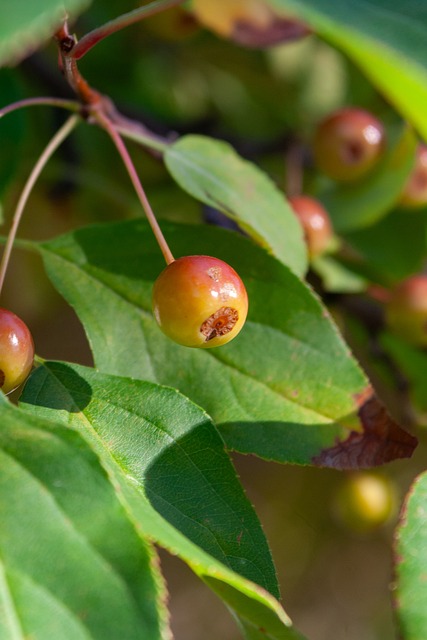 乃至整体战 乃至整体战