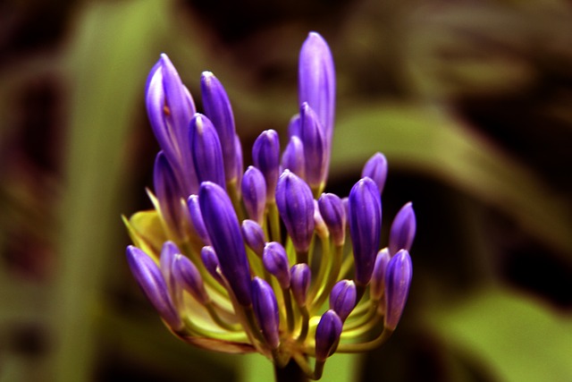 公正的态度 公正的态度