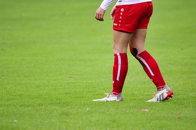 足球裁判的 足球裁判的