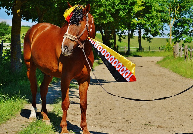 提供了坚实 提供了坚实