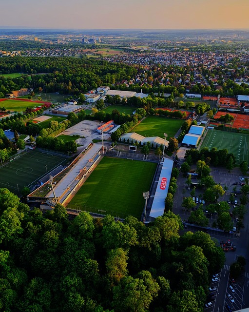 更是赢得了 更是赢得了