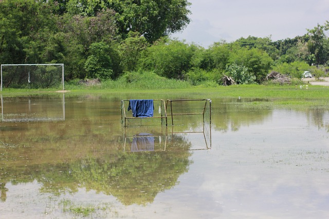 典型代表 典型代表