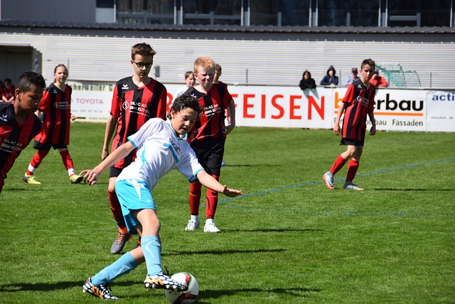 频展现出色 频展现出色