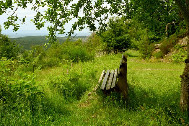 己的温暖港 己的温暖港